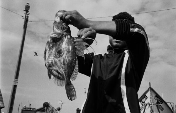 Après un retour de pêche, des pêcheurs vendent leur poisson dans un village dans le nord-ouest du Portugal. 2014.